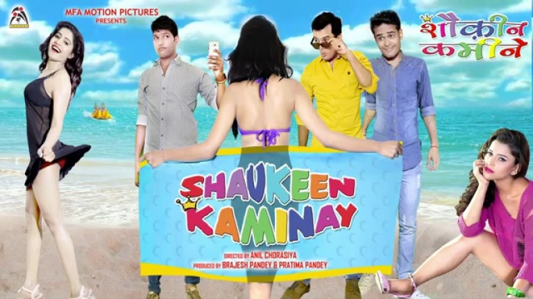 Shaukeen Kaminay Torrent Hindi Movie Download Full 2016
