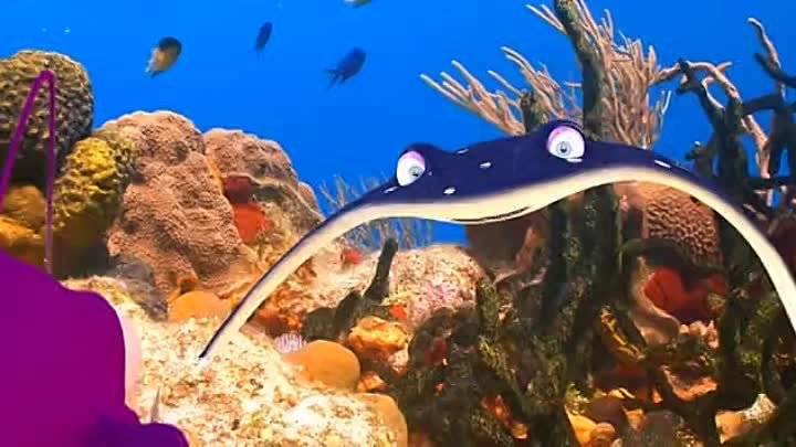 Рыбьи истории (2016)